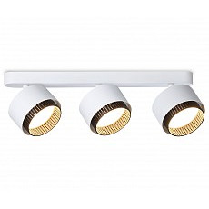 Спот ambrella light tn tn71291